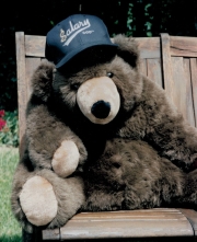 bear